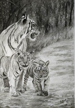 Tigress with 2 cubs