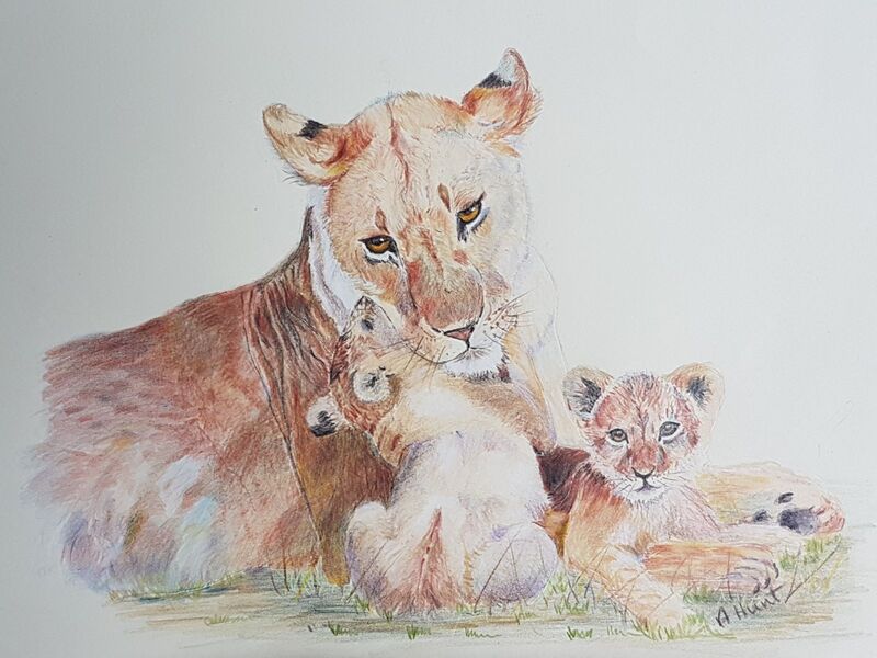 Lioness and her 2 cubs