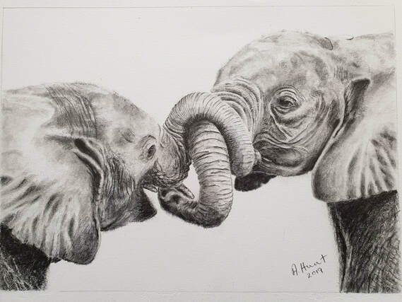 Two baby elephants