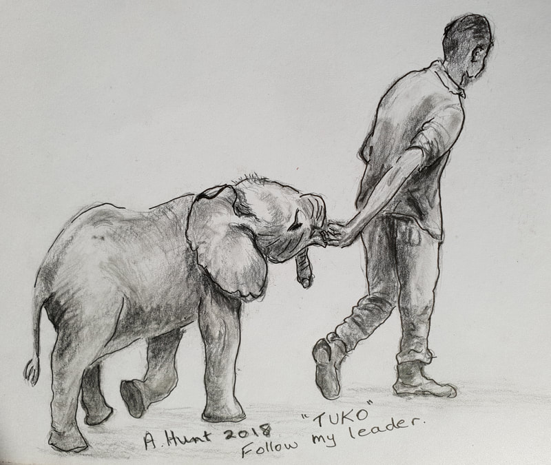 keeper leads elephant