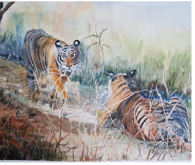 Two tigers in Ranthambore