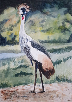 crested crane