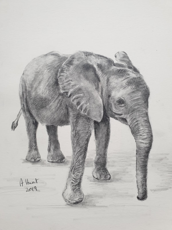 elephant standing