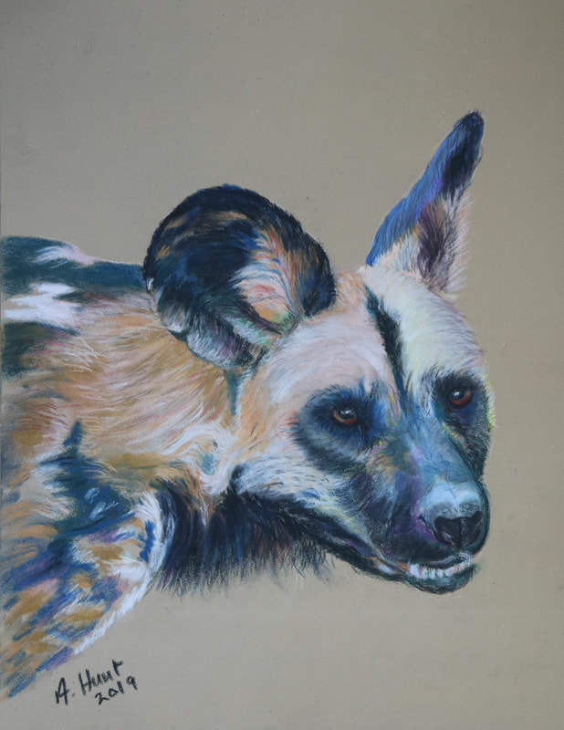 Painted dog