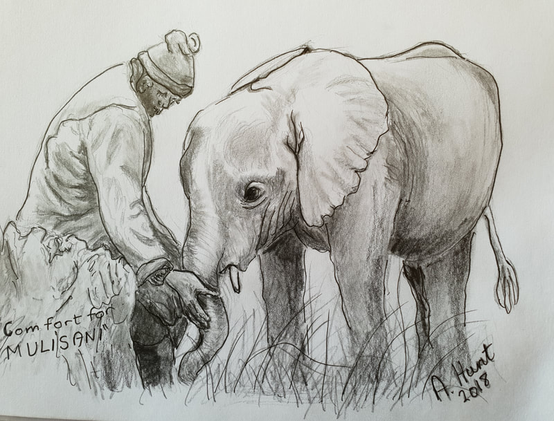Elephant and keeper

