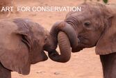 2 elephants trunk tussle